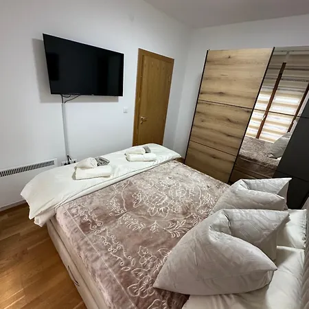 Bear ズラティボール