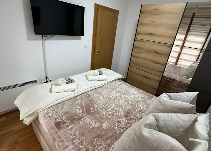 Bear ズラティボール